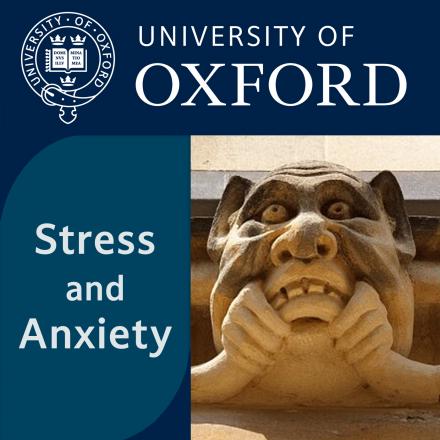 Stress and Anxiety